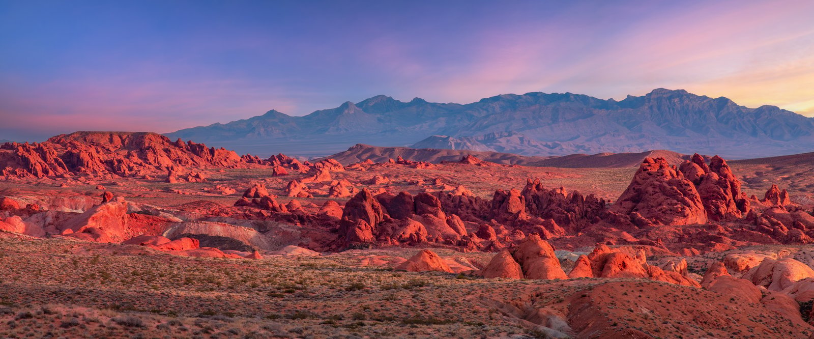 Nevada landscape